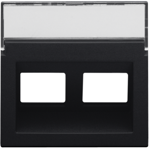 Enjoliveur data 2x RJ sortie oblique, couleur black coated