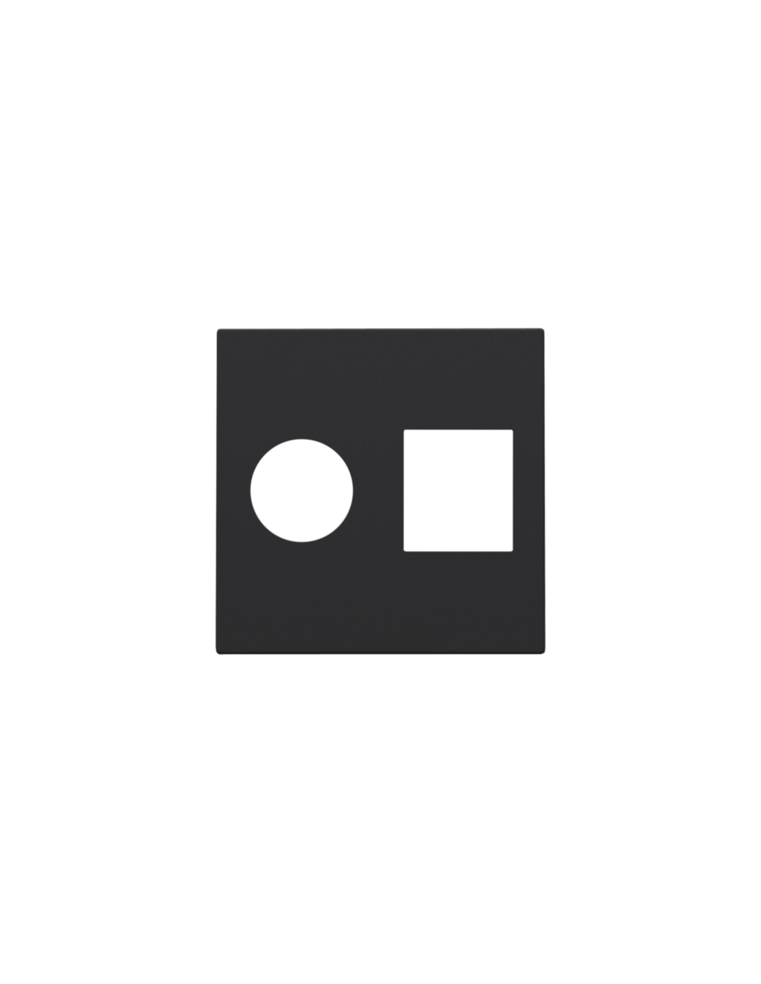 Set de finition pour connexion coaxiale simple et connexion réseau RJ45, couleur black coated