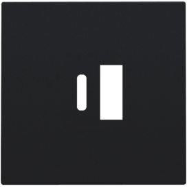 Set de finition pour double chargeur USB-A et USB-C intelligent, couleur black coated