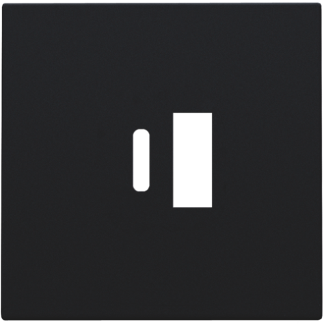 Set de finition pour double chargeur USB-A et USB-C intelligent, couleur black coated