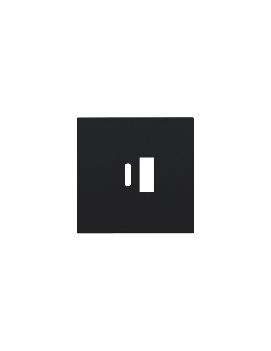 Set de finition pour double chargeur USB-A et USB-C intelligent, couleur black coated