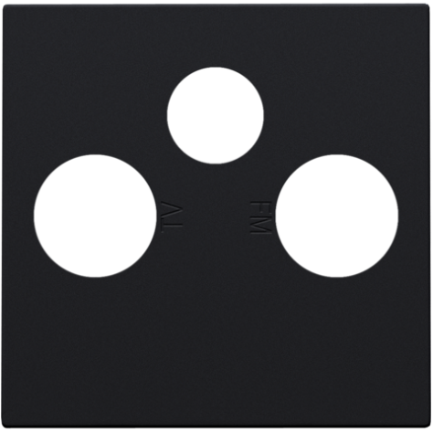 Set de finition pour 2 connexions coaxiale simples pour TV, FM et une connexion satellite, couleur black coated