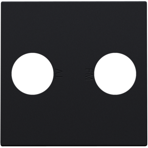 Set de finition avec 2 connexions coaxiales simples pour TV et FM, couleur black coated