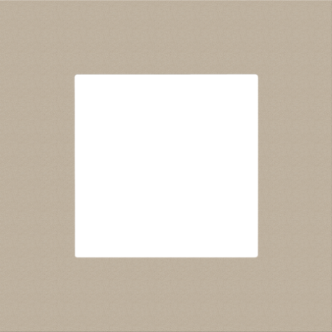 Plaque de recouvrement simple, couleur Niko Pure steel champagne coated Plaque de recouvrement simple, couleur Niko Pure steel champagne coated