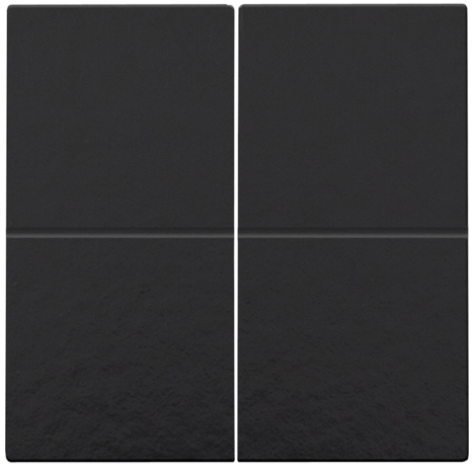 Clé double, pour variateur sans fil (Hue®, Bluetooth®, EnOcean®, KNX®), couleur piano black coated