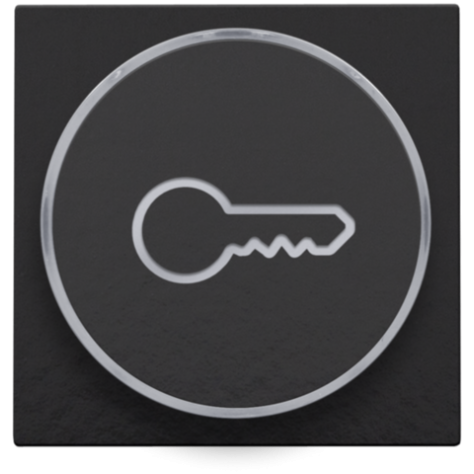 Set de finition avec anneau transparent avec symbole clé pour bouton-poussoir 6 A avec LED couleur ambre avec culot E10, couleur piano black coated