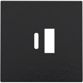 Set de finition pour double chargeur USB-A et USB-C intelligent, couleur piano black coated