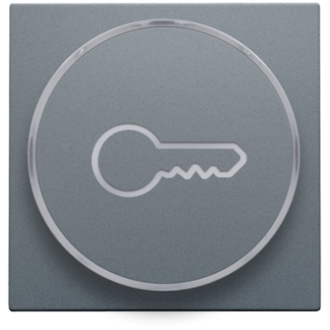 Set de finition avec anneau transparent avec symbole clé pour bouton-poussoir 6 A avec LED couleur ambre avec culot E10, couleur blue grey coated