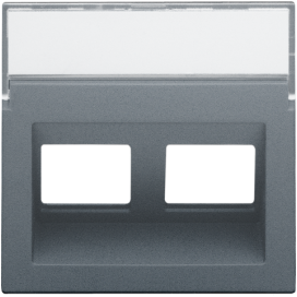 Enjoliveur data 2x RJ sortie oblique, couleur blue grey coated