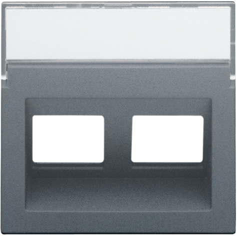 Enjoliveur data 2x RJ sortie oblique, couleur blue grey coated