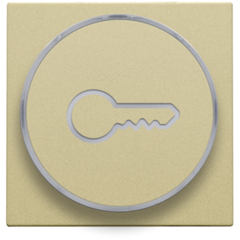 Set de finition avec anneau transparent avec symbole clé pour bouton-poussoir 6 A avec LED couleur ambre avec culot E10, couleur gold coated