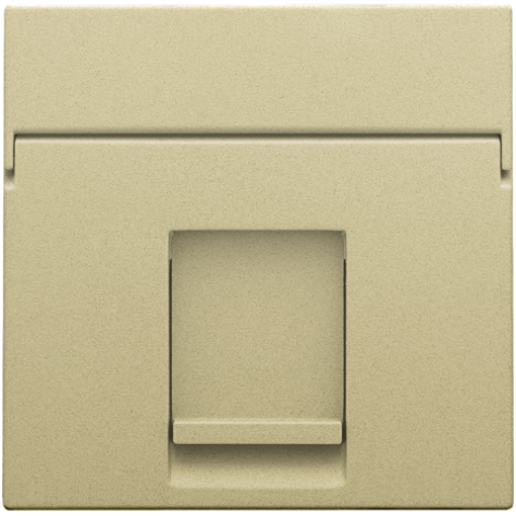 Enjoliveur data 1x RJ, couleur gold coated