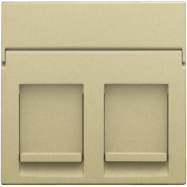 Enjoliveur data 2x RJ, couleur gold coated