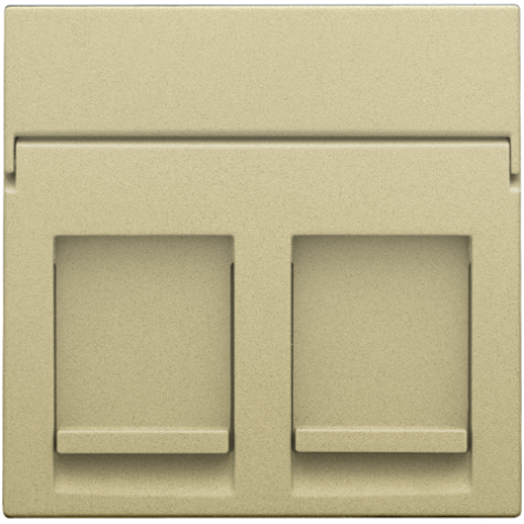 Enjoliveur data 2x RJ, couleur gold coated