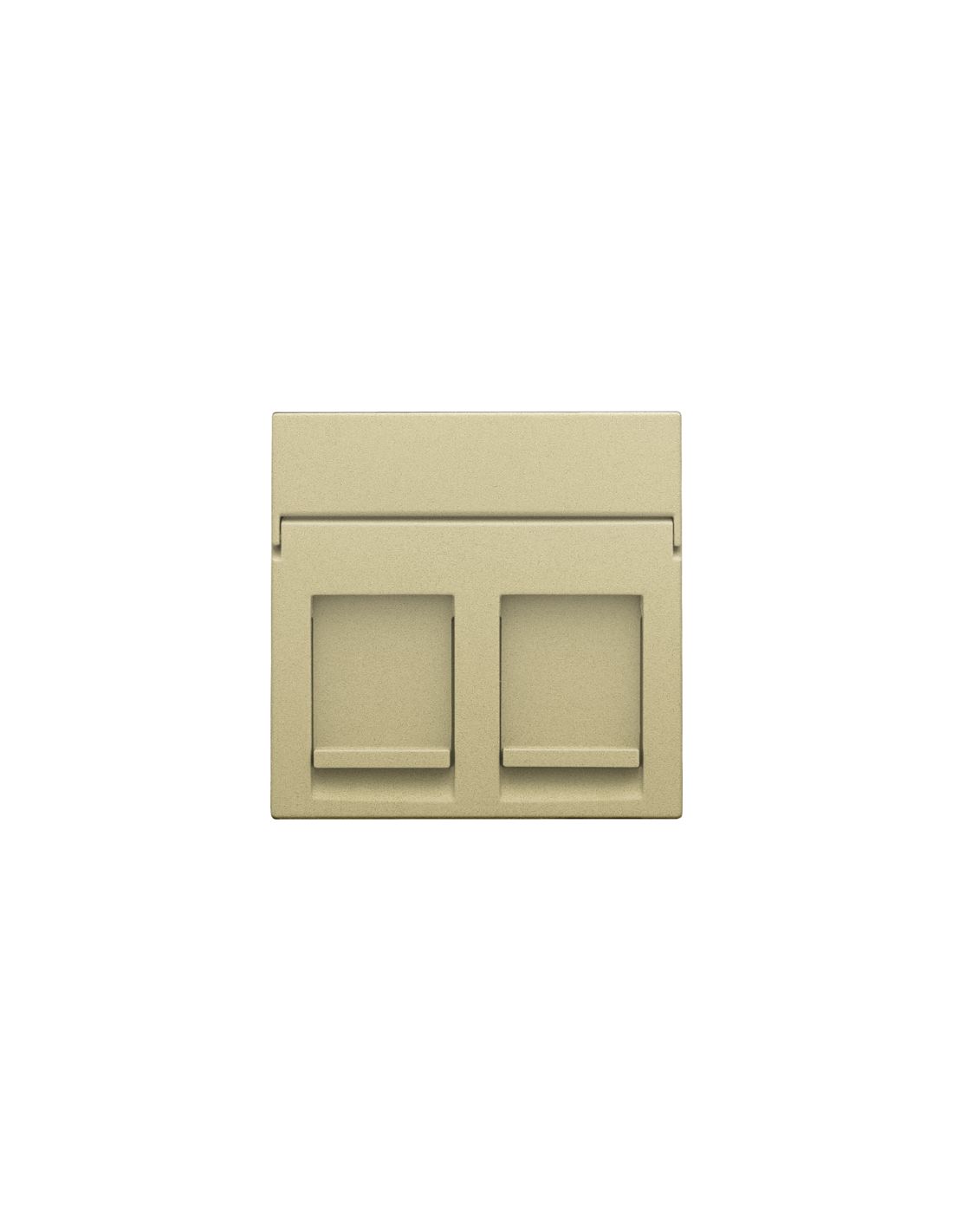 Enjoliveur data 2x RJ, couleur gold coated