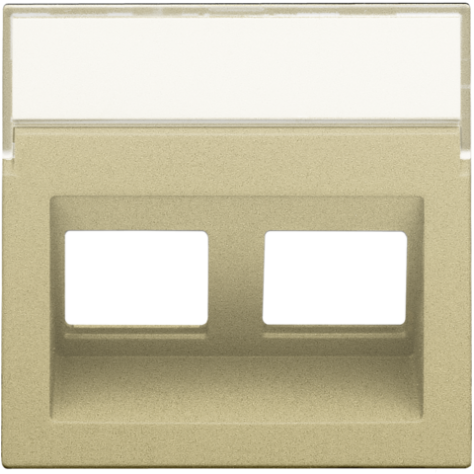 Enjoliveur data 2x RJ sortie oblique, couleur gold coated