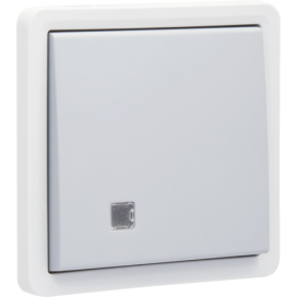 Bouton-poussoir éclairable, étanche aux projections d’eau 10 A/250 Vac, avec voyant transparent et un contact N.O. ou N.F.,avec bornes à connexion rapide, couleur gris