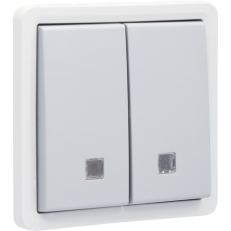 Bouton-poussoir double éclairable, étanche aux projections d’eau 10 A/250 Vac, avec deux contacts N.O. ou N.F., avec bornes à connexion rapide, couleur gris