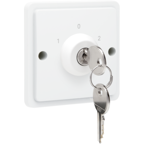 Interrupteur à clé étanche aux projections d'eau 10 A avec bornes à vis, couleur blanc