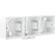 Triple boîte en saillie horizontal étanche aux projections d'eau avec une entrée M20 double pour trois fonctions, couleur blanc