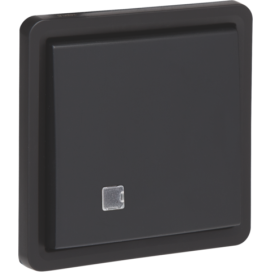 Interrupteur à témoin va-et-vient, étanche aux projections d'eau 10 AX/250 Vac avec hublot transparent et avec bornes à connexion rapide, éléments d'éclairage non compris, couleur noir