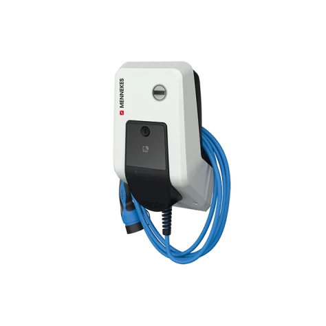 AMTRON PROFESSIONAL E11 C2