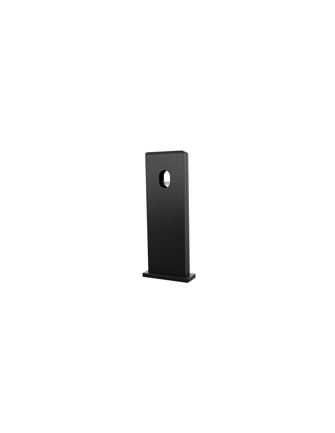 COLONNE INOX 2X AMTRON TWINCHARGE NOIR