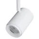 LITHIUM track spot monofase - 12W - dim to warm - 650lm - 36° - blanc