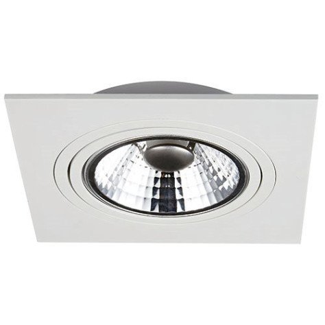 ZOOM AR111 - 1x 12W - alu - 1130lm / 650lm - 2700K - 180mm x 180mm - blanc