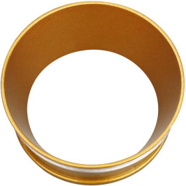 XANDAR insert goud