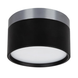 RAKU 12W Ø113mm geborsteld staal + zwart