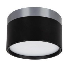 RAKU 12W Ø113mm geborsteld staal + zwart