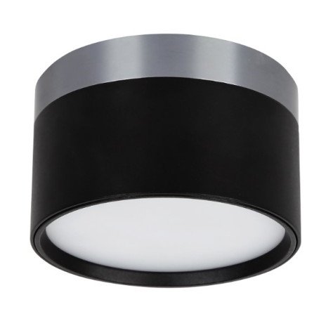 RAKU 12W Ø113mm geborsteld staal + zwart