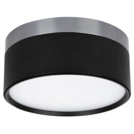 RAKU 24W Ø158mm geborsteld staal + zwart