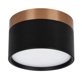 RAKU 12W Ø113mm geborsteld brons + zwart