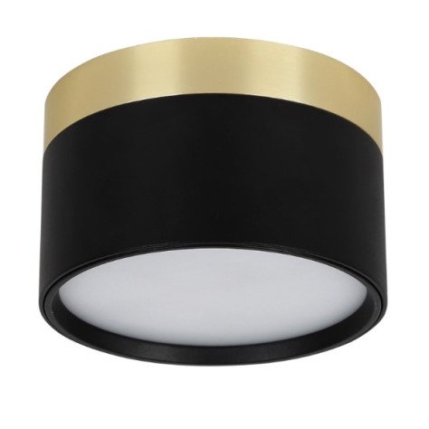 RAKU 12W Ø113mm geborsteld goud + zwart