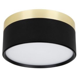 RAKU 24W Ø158mm geborsteld goud + zwart