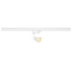 AVO railspot QPAR51/GU10 50W acier blanc incl. 3F.-adapteur