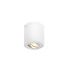 Plafonnier indoor apparent Triledo CL QPAR51 blanc max. 10W