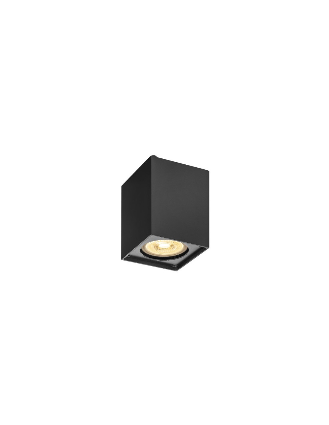 Applique/plafond indoor apparent Altra Dice CL QPAR51 noir