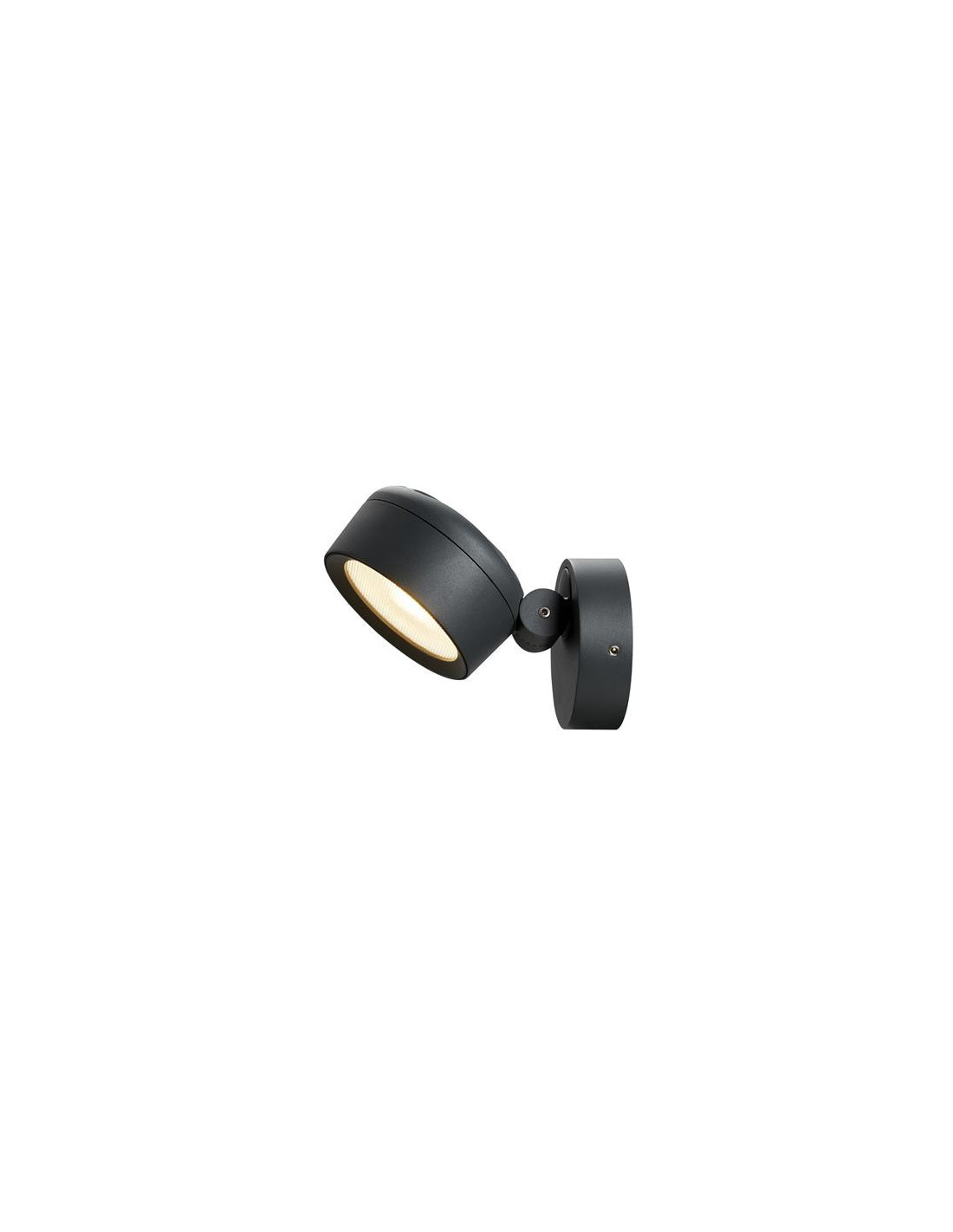 Eskina applique et plafonnier extérieur anthracite 3000/4000K IP65 variable