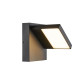 Abridor applique en saillie extérieure LED IP55 anthracite 3000/4000K