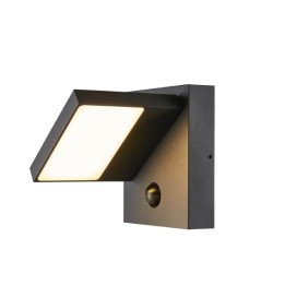 Abridor sensor applique en saillie extérieure LED IP55 anthracite 3000/4000K