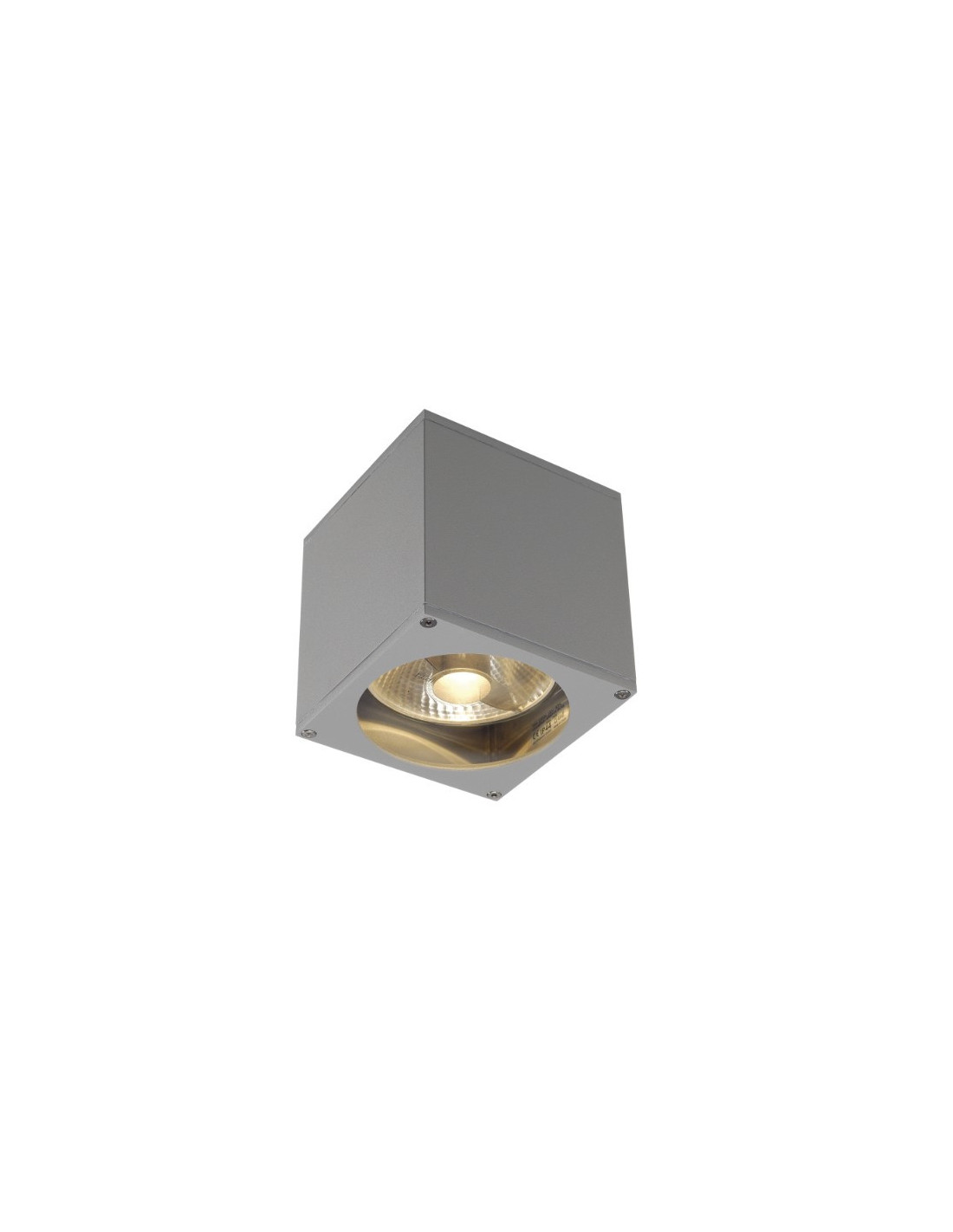 Big Theo Wall Out applique GU10 ES 111 75W 230V IP44 gris argent
