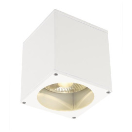 Big Theo plafonnier Out 75W Es111 blanc