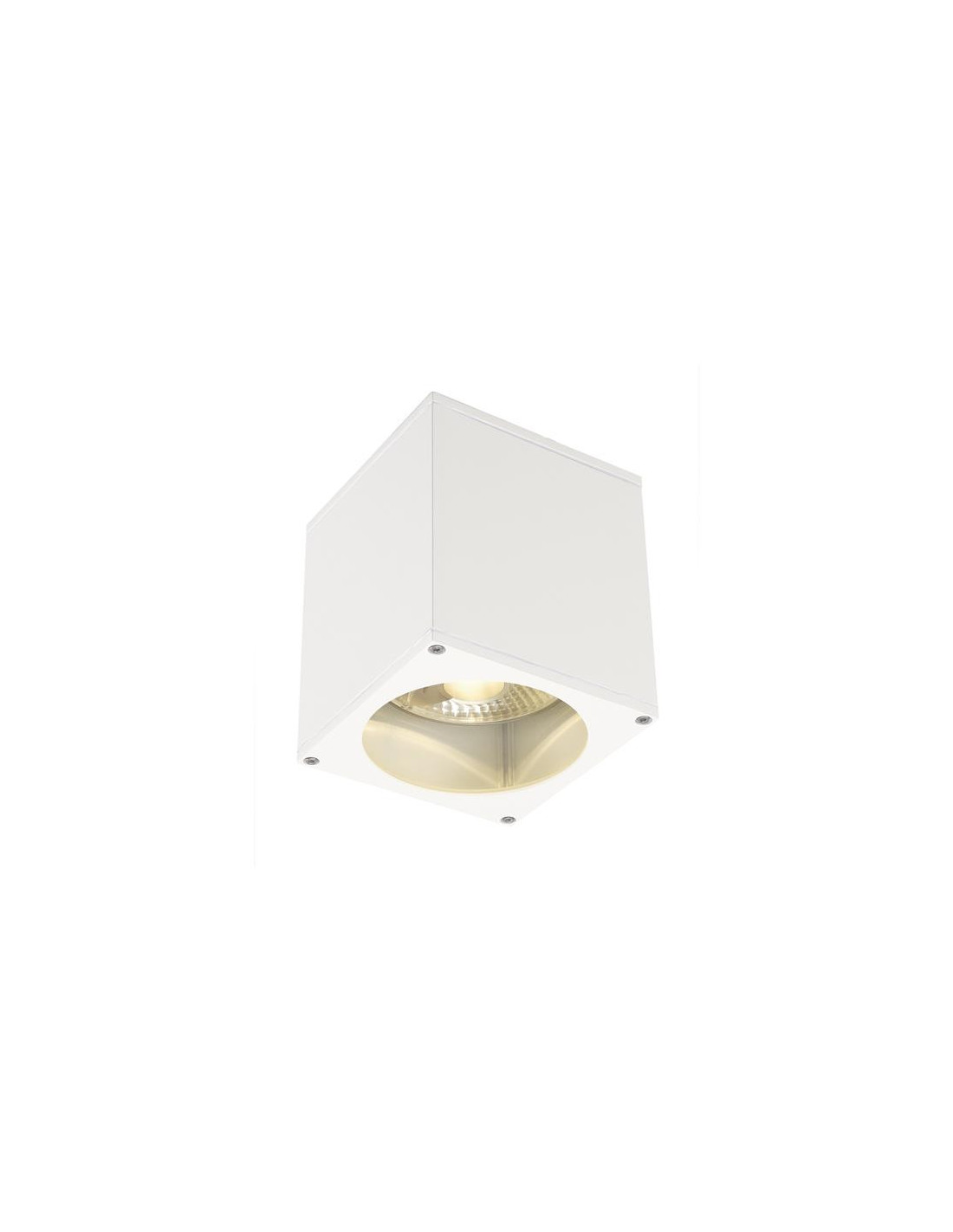 Big Theo plafonnier Out 75W Es111 blanc