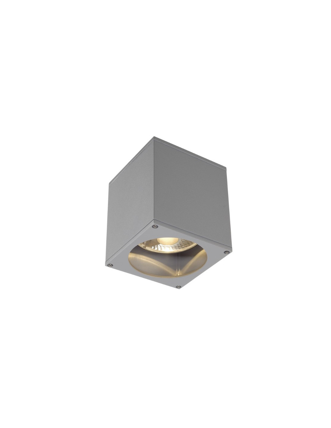 Big theo ceiling out es111 gris argent 75W