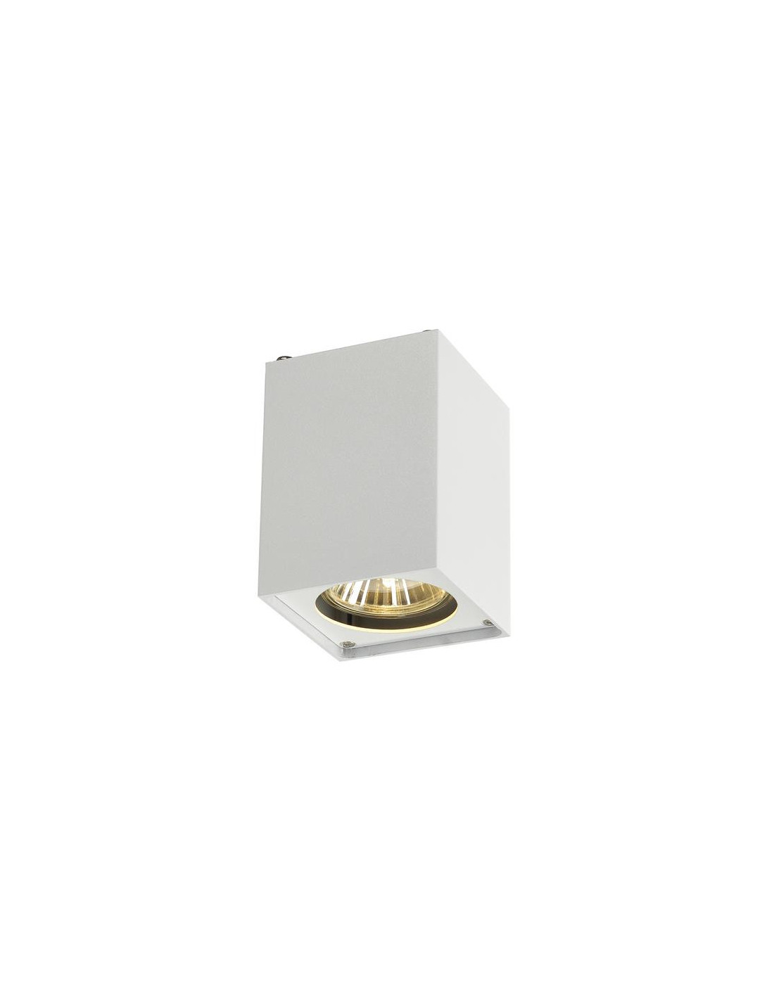 ALTRA DICE, plafonnier, CL-1, blanc, GU10, max. 35W