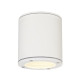 Sitra Ceiling downlight apparent plafond 1x max 9W Gx53 230V D10cm blanc IP44