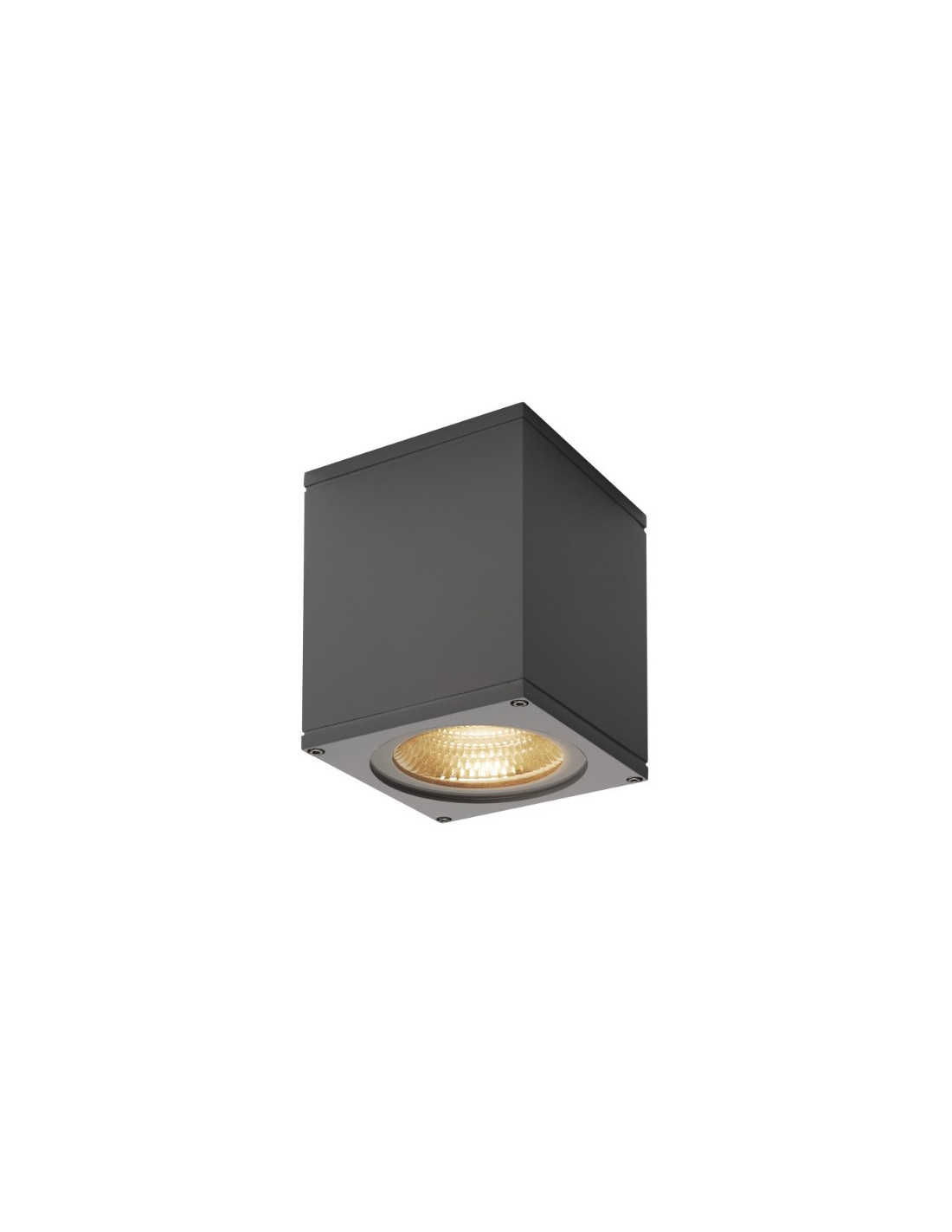 Big Theo appl. app. LED 230V 3000K 2200lm 24° 13x14x13,5cm IP44 anthracite